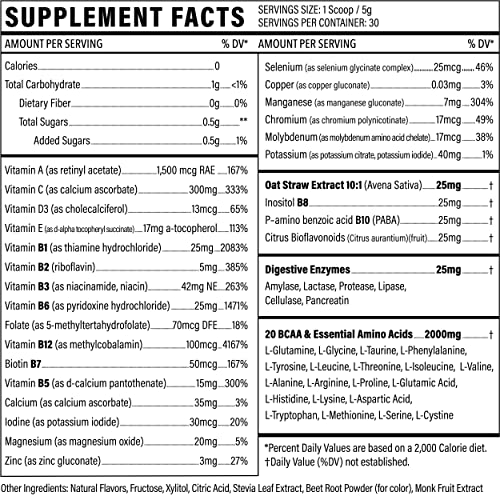 Multivitamin Powder - Keto Drink Mix for Men Women BCAA Amino Acids Won’t Upset Your Stomach - Keto Vegan Multivitamin with Electrolytes Super B Complex Digestive Enzyme (Orange Burst)