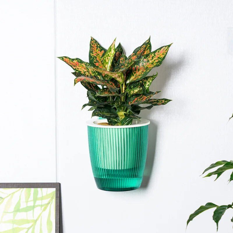 Creative Wall Hanging Planter Self Watering