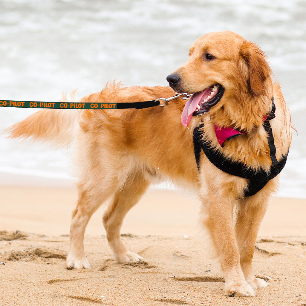 Co Pilot Pet Leash - Best Print Leash - Cool Quote Leash for Dogs