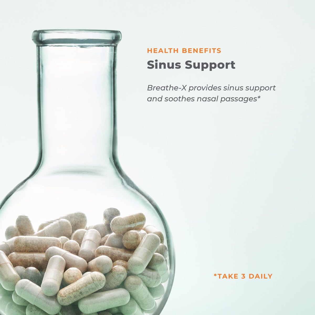 Breathe-X - Allergy & Sinus Relief Supplement - Supports Sinuses & Nasal Discomfort - Non-Drowsy & Fast-Acting - Quercetin, Bromelain, Citrus Bioflavonoids, Nettle Leaf & Vitamin C - 90 Capsules