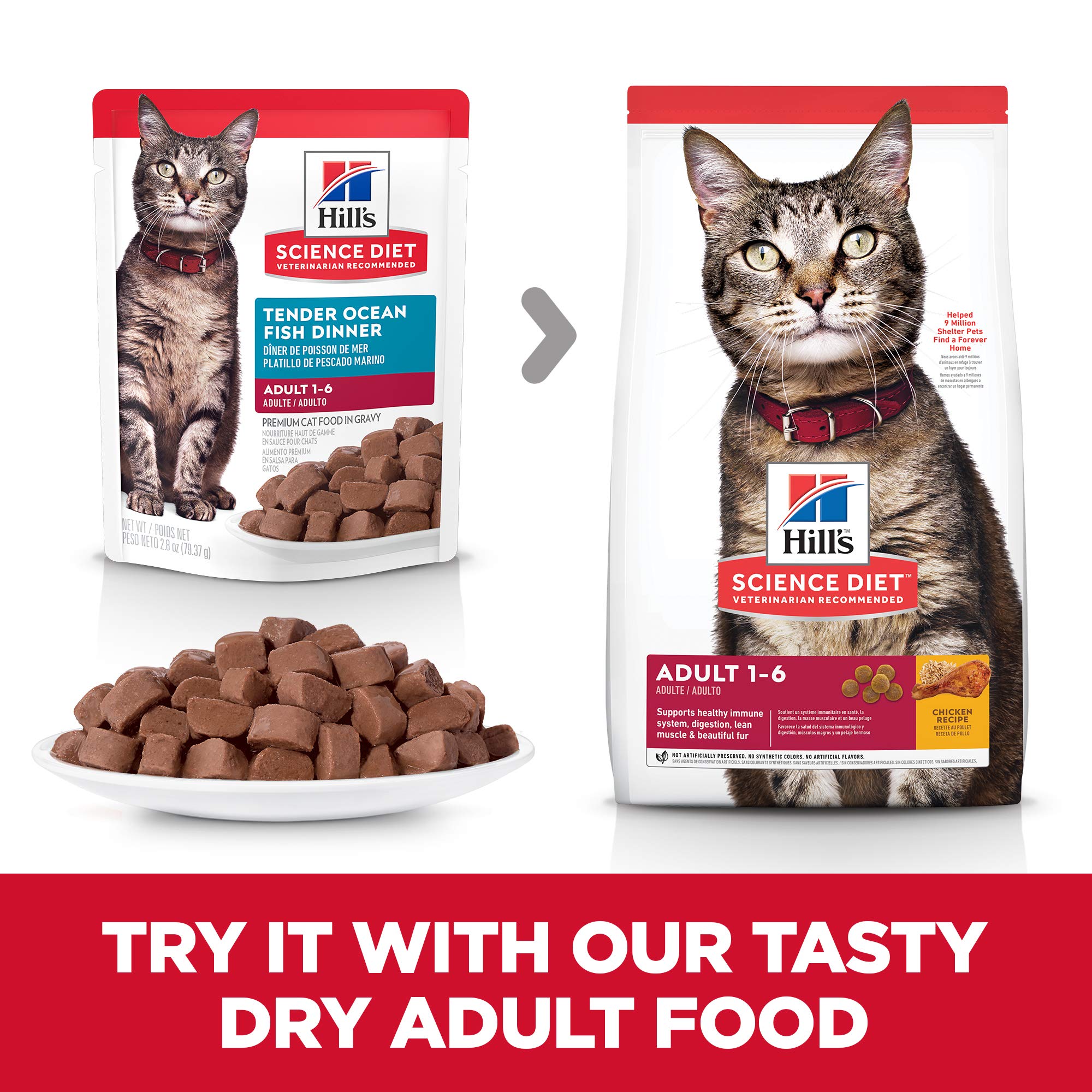 Hill's Science Diet Adult Wet Cat Food, Ocean Fish, 2.8 oz Pouch, 24-Pack