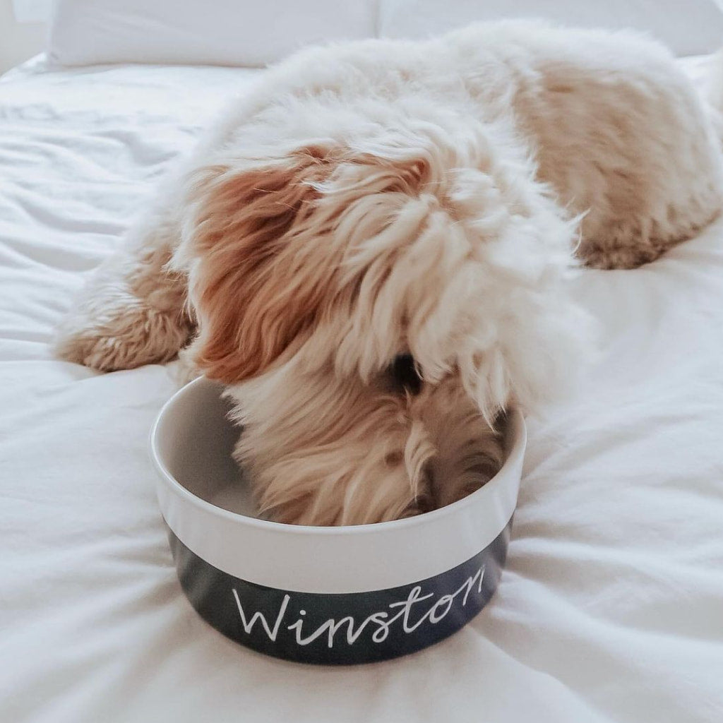 Chalkboard Ceramic Dog Bowl