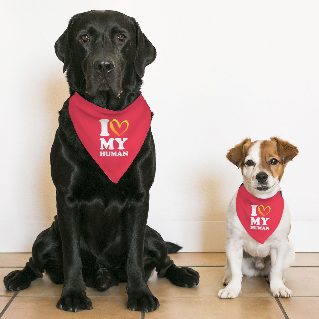 I Love My Human Pet Bandana Collar - Text Design Scarf Collar - Heart Dog Bandana