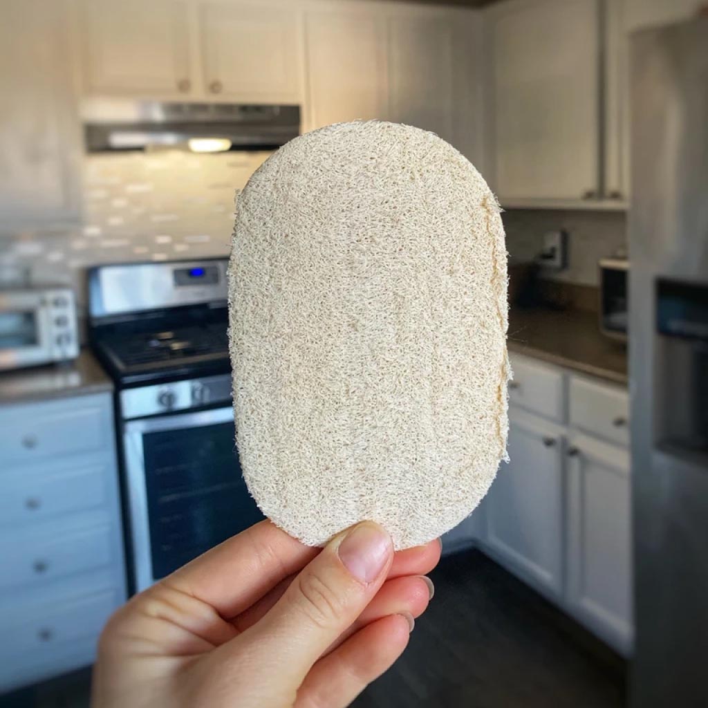 Single Layer Loofah Dish Sponges (3 pcs)