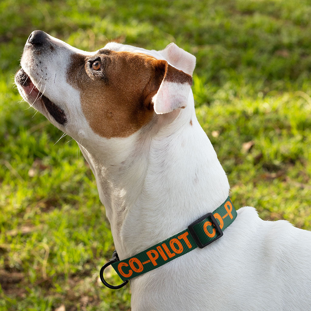 Co Pilot Pet Collar - Best Print Dog Collar - Cool Quote Dog Collar