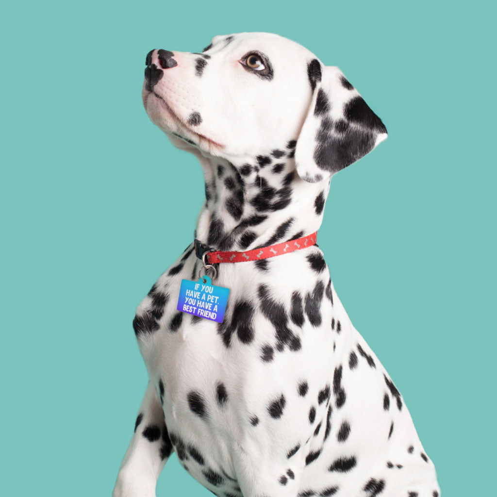 Cute Design Pet ID Tag - Quote Pet Tag - Best Print Pet ID Tag