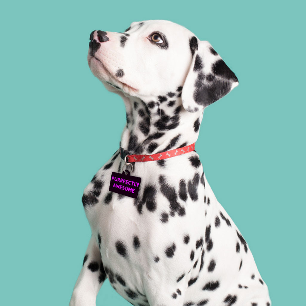 Awesome Pet ID Tag - Funny Saying Pet Tag - Cool Pet ID Tag