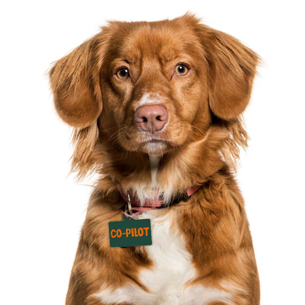 Co Pilot Pet ID Tag - Best Print Pet Tag - Cool Quote Pet ID Tag
