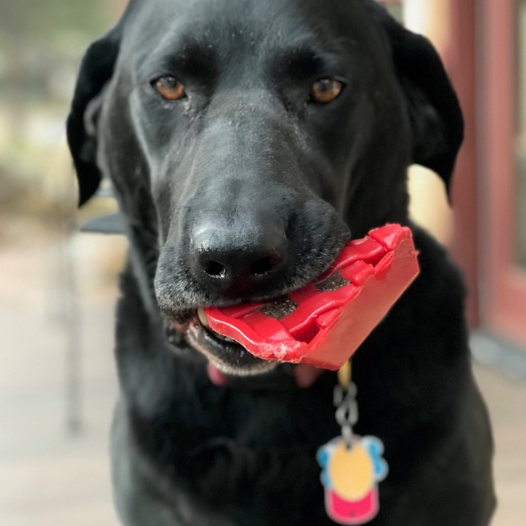Cherry Pie Dog Chew Toy