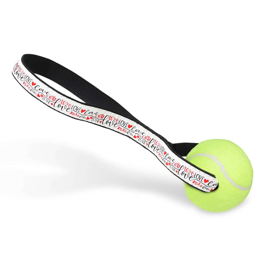 Love Design - Tennis Ball Toss Toy