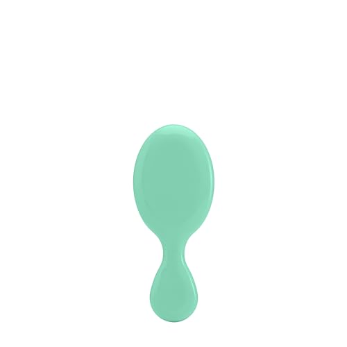Wet Brush Squirt Detangler Hair Brushes Amazon Exclusive Aqua Mini Detangling Comb & 3 Wet Brush Mini Detangler Brushes for Tangle-Free Hair