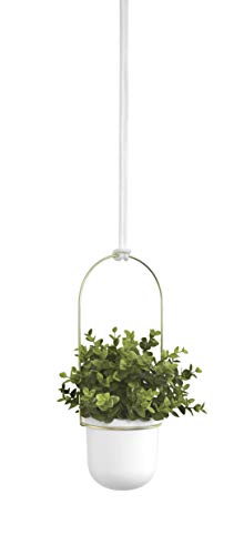 Umbra Triflora Hanging Planter for Window, Indoor Herb Garden, Set of 5, Black