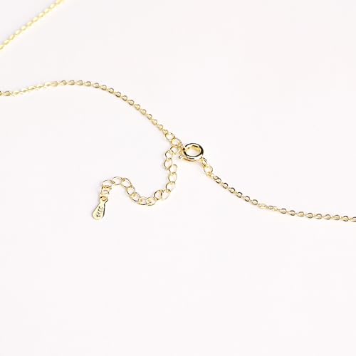 ALLNEWBEE 14K Yellow Gold Plated Cubic Zirconia Initial Necklace | Initial Pendant Letter A-Z Necklace for Women (W)