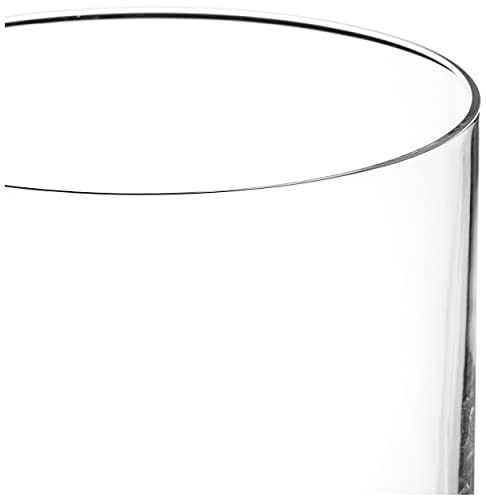 Zwiesel Glas Tritan Modo Collection Red Wine Glass, 14.9-Ounce, Set of 4