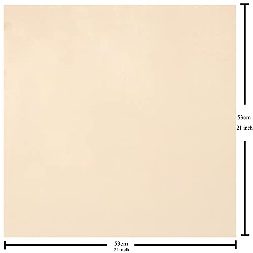 100% Pure Mulberry Silk Scarf for Women 21"Square Satin Head Hair Neck Scarves Luxury Small Lightweight Light Beige Neckerchief