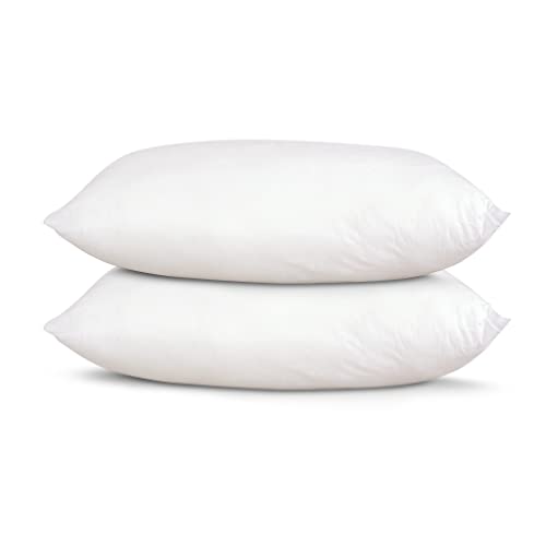raajsee 12X20 Throw Pillow Inserts Set of 2, Down Alternative Premium Cotton Covering Hypoallergenic - Rectangle Form Throw Pillow Stuffer - Decorative Cushion Inner Sham Filler Bed Couch Sofa