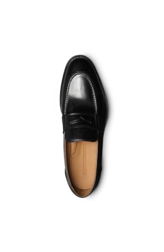 Allen Edmonds Men's Eli Fashion Leather Penny Loafer Chili Leather 12 D