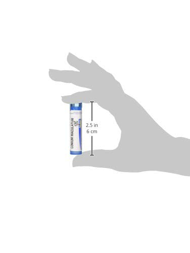 Boiron Conium Maculatum 10M Md 80 Pellets for Dizziness Triggered by Moving The Head