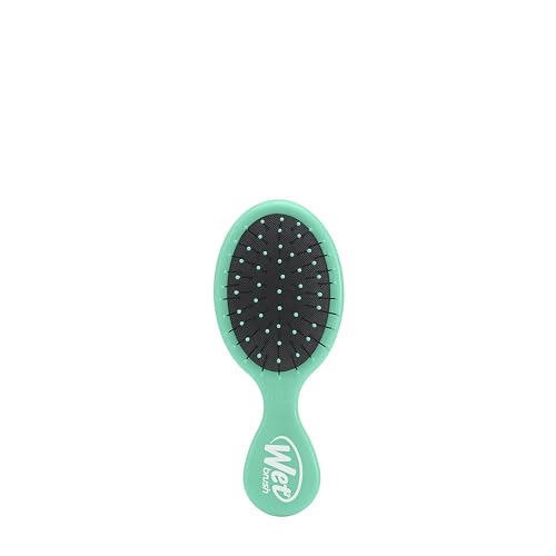 Wet Brush Squirt Detangler Hair Brushes Amazon Exclusive Aqua Mini Detangling Comb & 3 Wet Brush Mini Detangler Brushes for Tangle-Free Hair