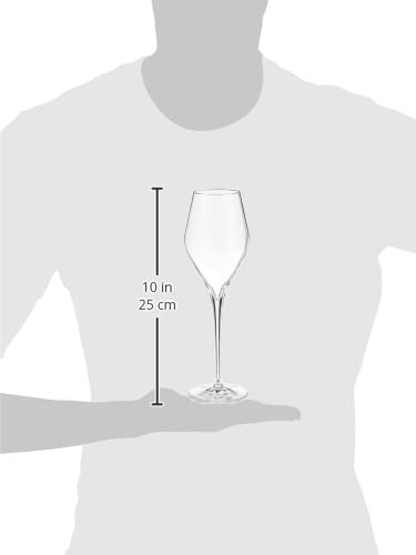 Schott Zwiesel Tritan Crystal Glass Finesse Stemware Collection Champagne Flute with Effervescence Points (Set of 6), 10.0 oz, Clear