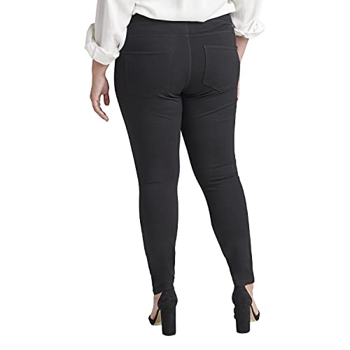 JAG Jeans Women's Plus Size Ricki Mid Rise Pull-on Legging, Black, 14 Plus