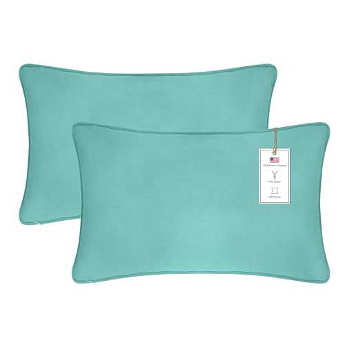 A1HC Set of 2 Luxurious Fine Soft Velvet Throw Pillow Covers Only, For Sofas, Beds, Vibrant Colors and Hidden Zipper. Enhance your Living Space with Decorative Couch Pillow 18"x18", Tan