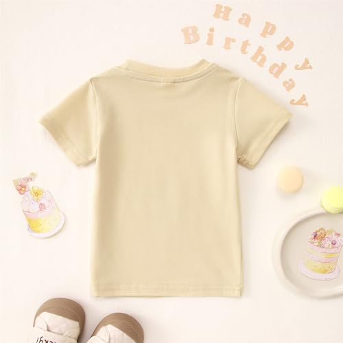 MODNTOGA 1st Birthday Tee Baby Boy Girl Short Sleeve T-Shirt First Birthday Sun Graphic Toddler Kid Letter Tops Summer Outfit (Beige, 1 Years)