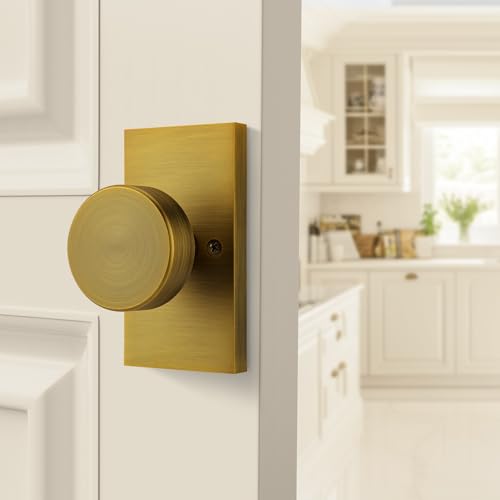 ToPToToo Dummy Door Knobs Interior, Antique Brass Door Knobs for Closet, Single-Side Dummy Door Handle, Inactive Door Knobs 2 Pack
