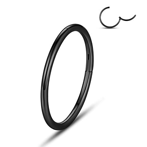 WBRWP Hypoallergenic Nose-Rings-Hoop with AB Purple Zircon : 18G(1.0mm) Diameter 8mm Hinged Segment Ring Body Piercing Nose Hoop Lip Rings Helix Cartilage Rook Earrings Diameter 10mm, Rose Gold Color