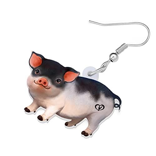 LONYOO Acrylic Pink Pig Earrings Dangle Cute Pig Jewelry for Women Pig Gifts (Pink 440)