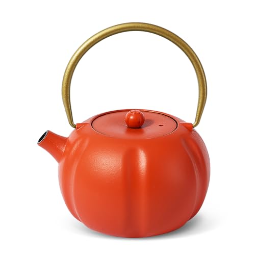 Orange Cast Iron Teapot (27oz/800ml), Cute Little Pumpkin Tea Kttle with Stainless Steel Filter, Exquisite and Small, Stovetop Safe, for 1-2 People, Japanese Kettle, Naturally Gift(Orange Red)