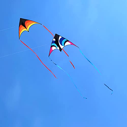 Kaiciuss Delta Kite for Kids & Adults Easy to Fly Large, Sing Line for Beginners, Easy Flying Kite for Boys & Girls with 4 Ribbon and 300 ft String Handle