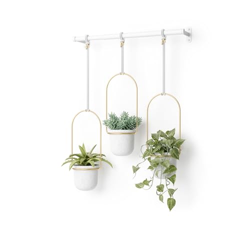 Umbra Triflora Hanging Planter for Window, Indoor Herb Garden, Set of 5, Black