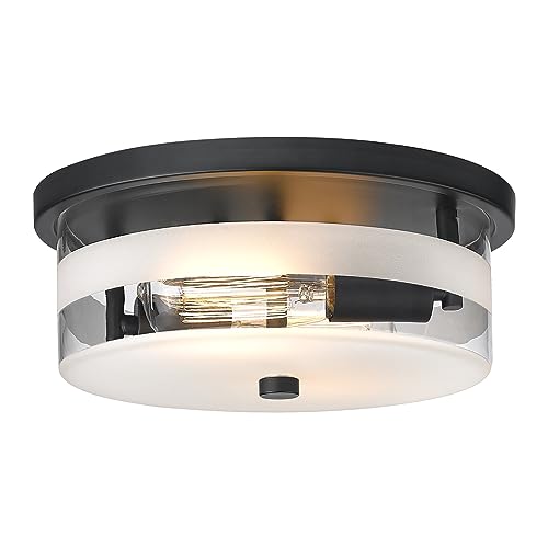 Flush Mount Ceiling Light with Clear Glass Shade, 2-Light Indoor Outdoor Farmhouse Lighting Flush Mount Lights for Kitchen Bedroom Porch Living Dining Room
