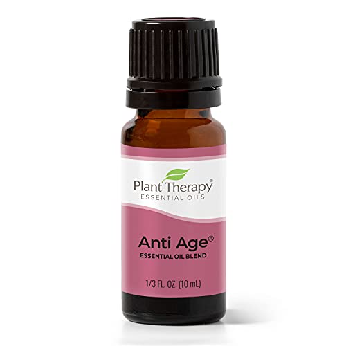 Plant Therapy Organic Lavender Essential Oil 100% Pure, Pre-Diluted Roll-On, Natural Aromatherapy, Therapeutic Grade 10 mL (1/3 oz)