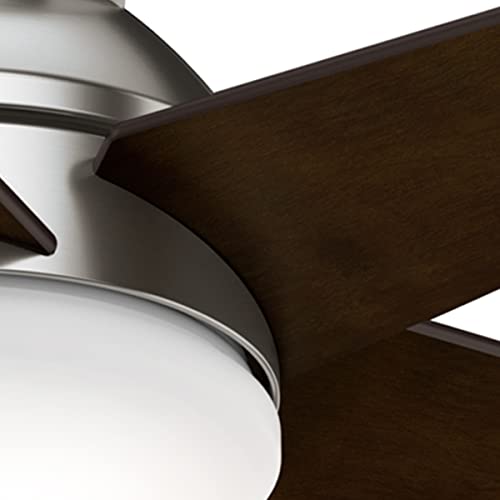 Casablanca Fan Company 59351 44" Isotope Ceiling Fan with Light with Wall Control, Small, Brushed Nickel Finish