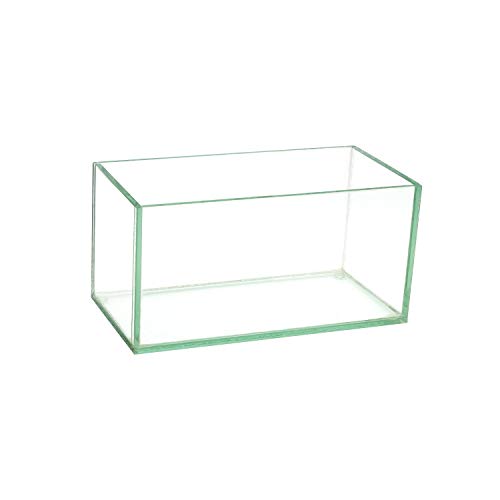 Royal Imports Flower Glass Vase Decorative Centerpiece for Home or Wedding Oblong Rectangle Shape (8", Clear)