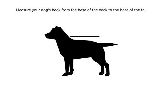 WeatherBeeta ComFiTec Reflective Parka 300D Deluxe Dog Coat, Yellow, 32"