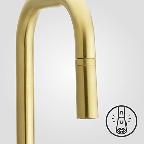 Pfister Zanna Kitchen Faucet with Pull Down Sprayer and Soap Dispenser, Single Handle, High Arc, Brushed Gold Finish, F5297ZNRBG