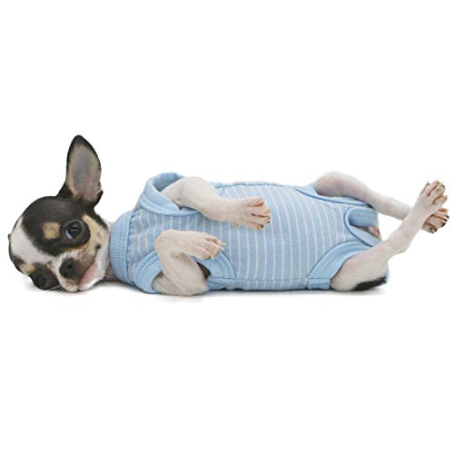 LOPHIPETS Girl Dog Shirts Pajamas for Small Teacup Dog Chihuahua Yorkie Puppy Cat Clothes-Cambridge Blue Strips/XXS