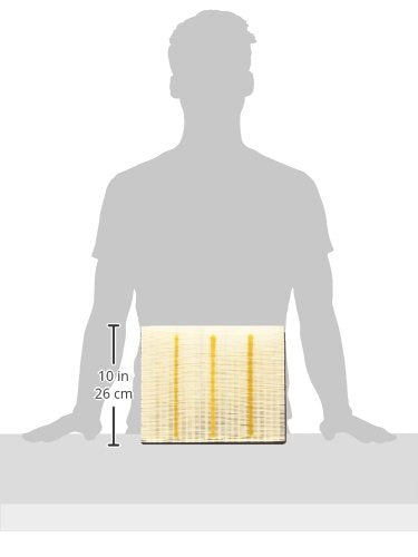 ACDelco GM Original Equipment A3181C (22845992) Air Filter