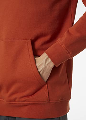 Helly-Hansen Men's Nord Graphic Pull Over Hoodie, 787 Lynx