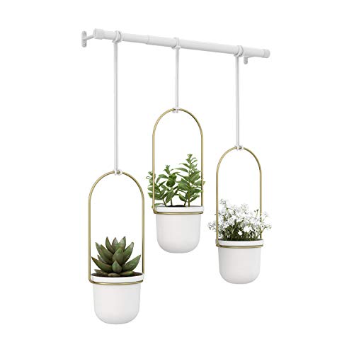 Umbra Triflora Hanging Planter for Window, Indoor Herb Garden, Set of 5, Black