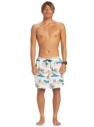 Quiksilver Men's Standard Everyday Mix Volley 17 Boardshort Swim Trunk, Black, Small