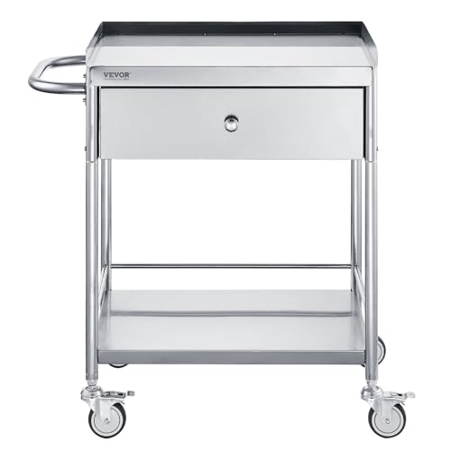 VEVOR Medical Cart, 2 Layers Stainless Steel Cart 220 lbs Weight Capacity, Lab Utility Cart with 360° Silent Wheels and a Drawer for Lab, Clinic, Kitchen, Salon, Silver