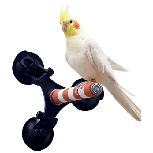 ZixmiX Fanlahmtasy Bird Perch - Multi-Functional Perch Stand for Birds with Bird Shower Perch Function, Ideal Window Perch for Birds with Secure Suction Cup Installation (orange0.8in)