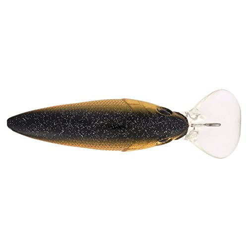 Berkley Money Badger Fishing Lure, Perch, 3/16 oz, 1.5in | 4cm, Hybrid Baitfish-Crayfish Design, Patented FlashDisc Technology, Equipped with Sharp Fusion19 Hooks