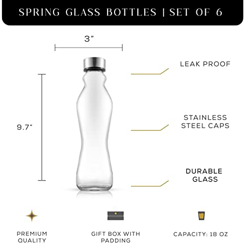 JoyJolt Spring Glass Water Bottles Set of 6-18 oz Glass Bottles with Stainless Steel Caps - Glass Drinking Bottles with Leakproof Lids - Reusable Glass Juice Bottle - Container Bottle Set