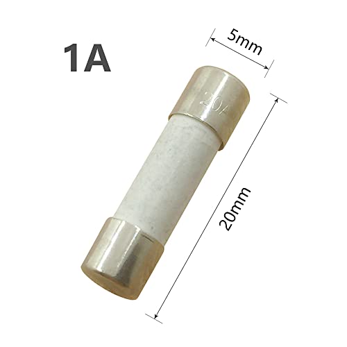 YOLISTIC (Pack of 10) 1 Amp Slow-Blow Time Delay Fuse Ceramic 5x20mm