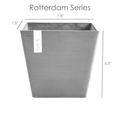 Ecopots Rotterdam Durable Modern Square Indoor/Outdoor Recycled-Based Composite Flower Planter, Dark Grey, 8"